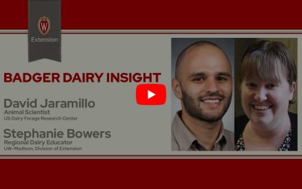 ▶️ Watch: Grazing and Virtual Fencing on Dairy Farms
