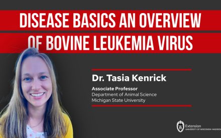 ▶️ Watch: Disease Basics An Overview of Bovine Leukemia Virus